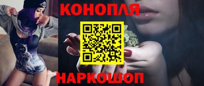 сатива Кузнецк