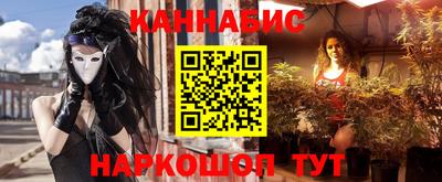 сатива Кузнецк