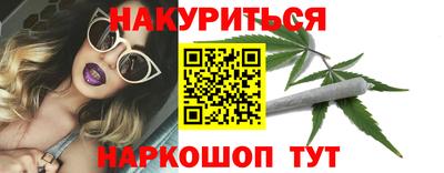 сатива Кузнецк