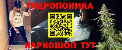 сатива Кузнецк