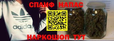 сатива Кузнецк